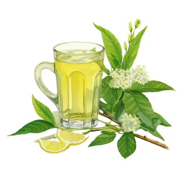 Verveine au choix